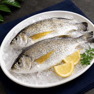 36斑頭魚 野生斑頭魚3536